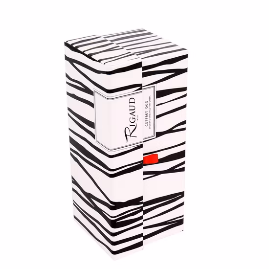 Custom Elegant Gift Box Cardboard Book Shaped Box Printing Paper Packaging Box